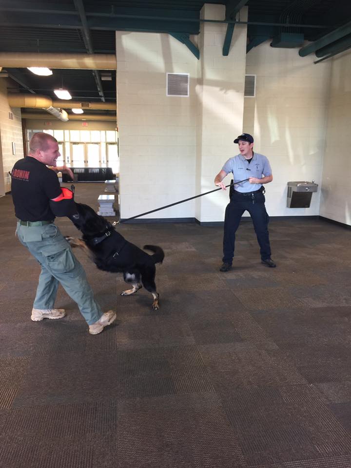 18118437_1343311532371052_8430956123538581323_n