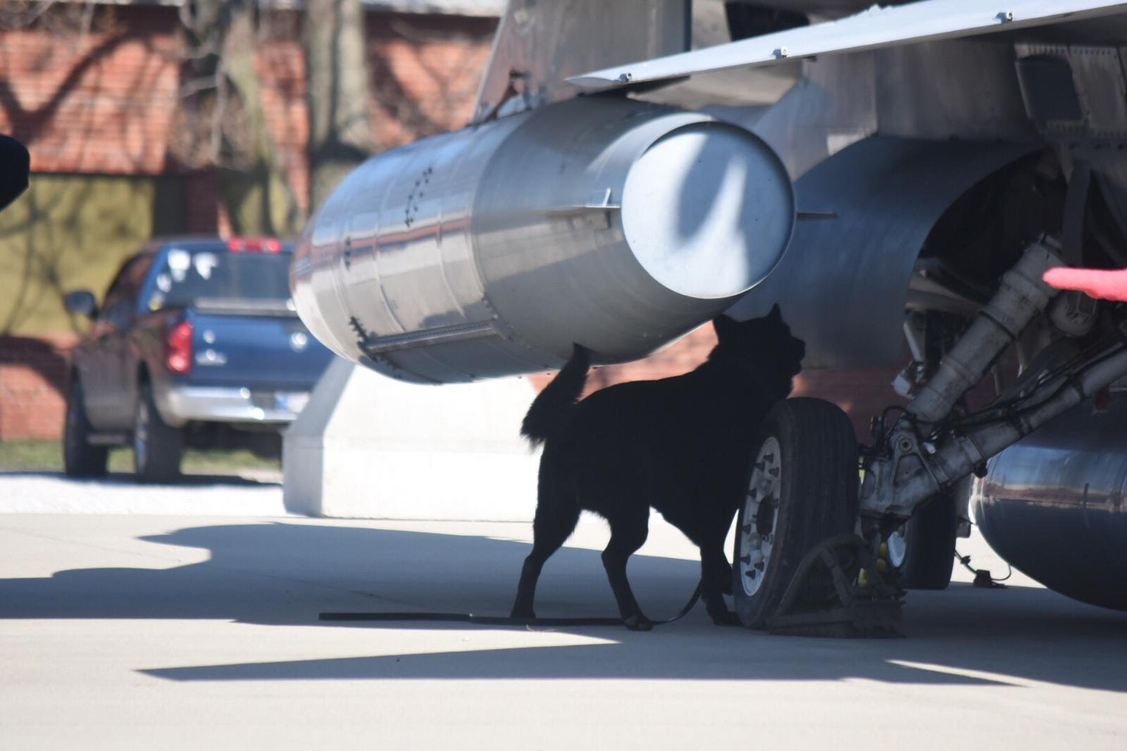 d3aabf506c035fb4cb4d456b4c04437d5eaeea02-2