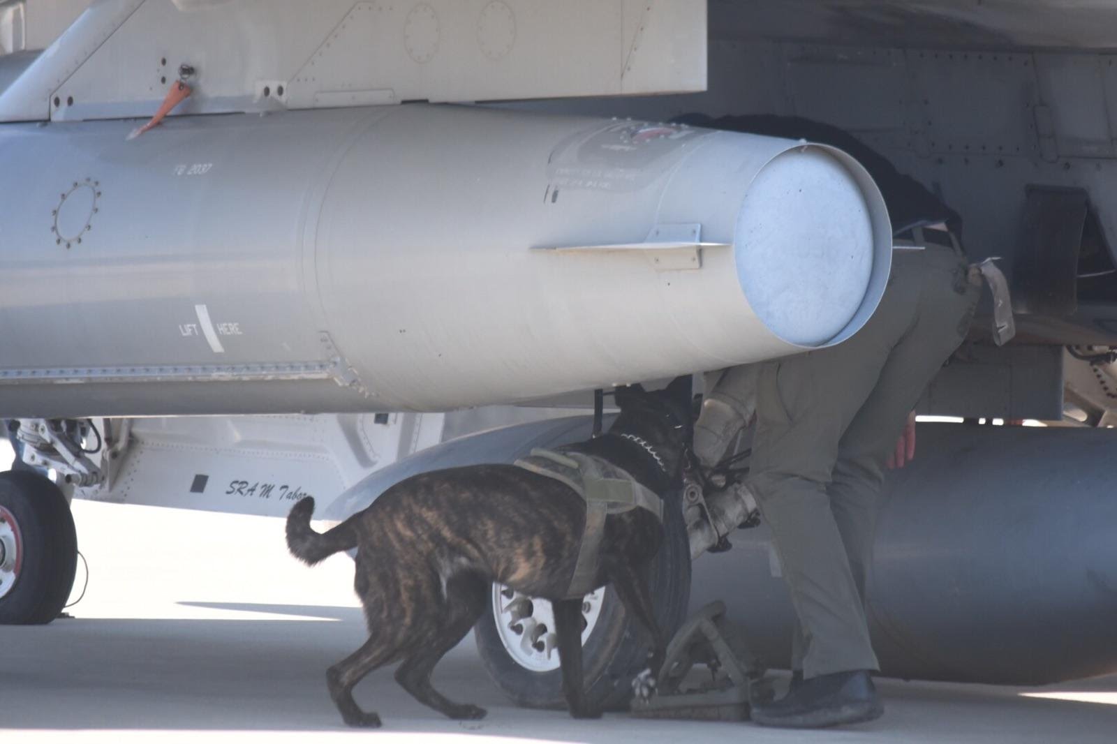 d3aabf506c035fb4cb4d456b4c04437d5eaeea02-3