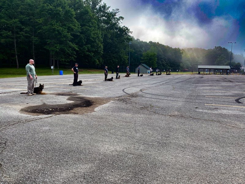 1cfa06e525ec714f2e98723f8060d2c44cb47e7a-1