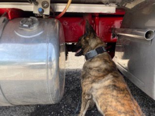 66902dcce82550bb2768e25346bd824d6391f9dc-1