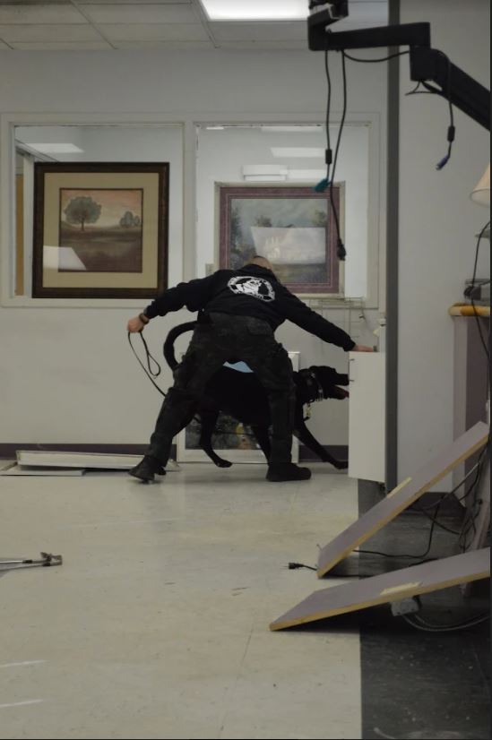 This image has an empty alt attribute; its file name is 15.jpg