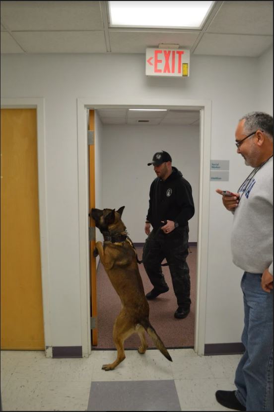 This image has an empty alt attribute; its file name is 19.jpg